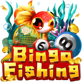Bingo Fishing on Spin the Wheel